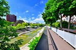 四區右岸新設人行道串聯行人動線-主深槽確保農民灌溉取水量-在低水護岸設置透水植