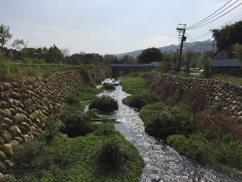 食水嵙溪番社嶺橋河段-生態資源豐富