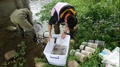 完工後持續辦理生態調查